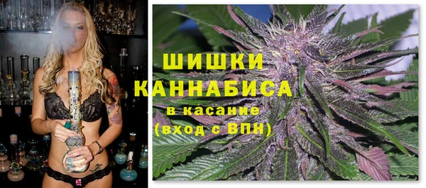 гашик Протвино