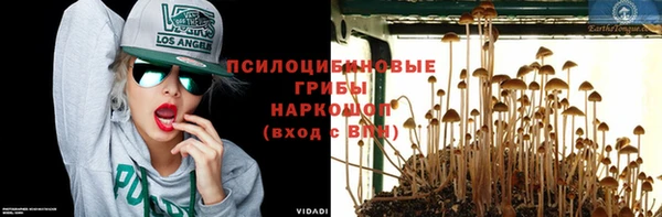 PSILOCYBIN Аркадак
